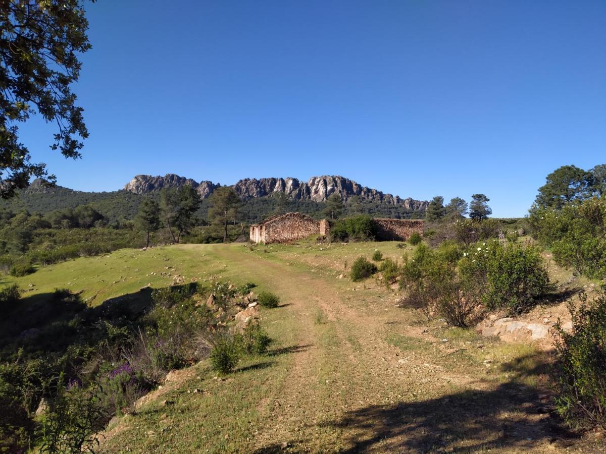La Romera Villanueva del Duque エクステリア 写真