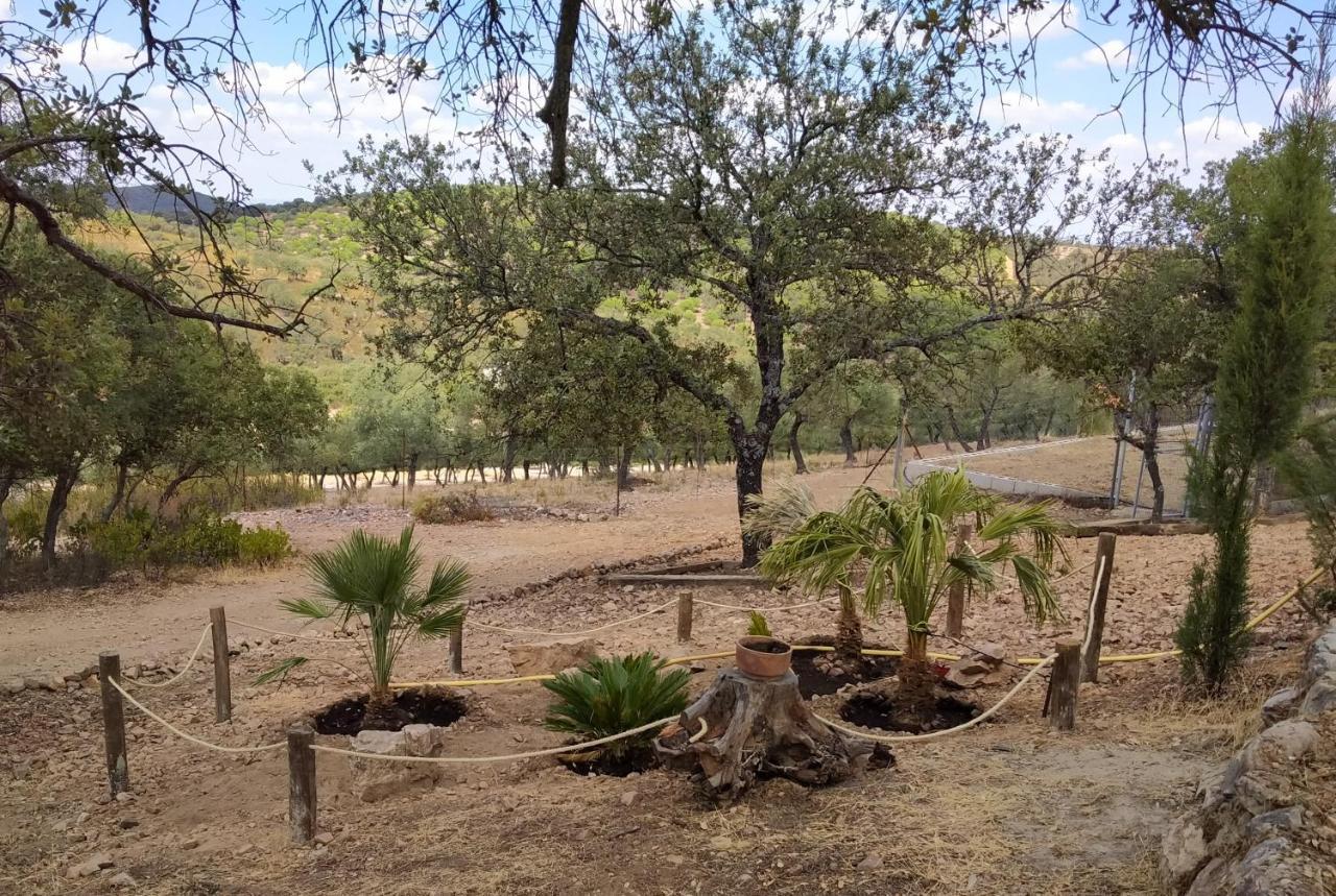 La Romera Villanueva del Duque エクステリア 写真