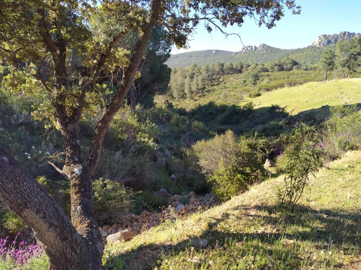 La Romera Villanueva del Duque エクステリア 写真