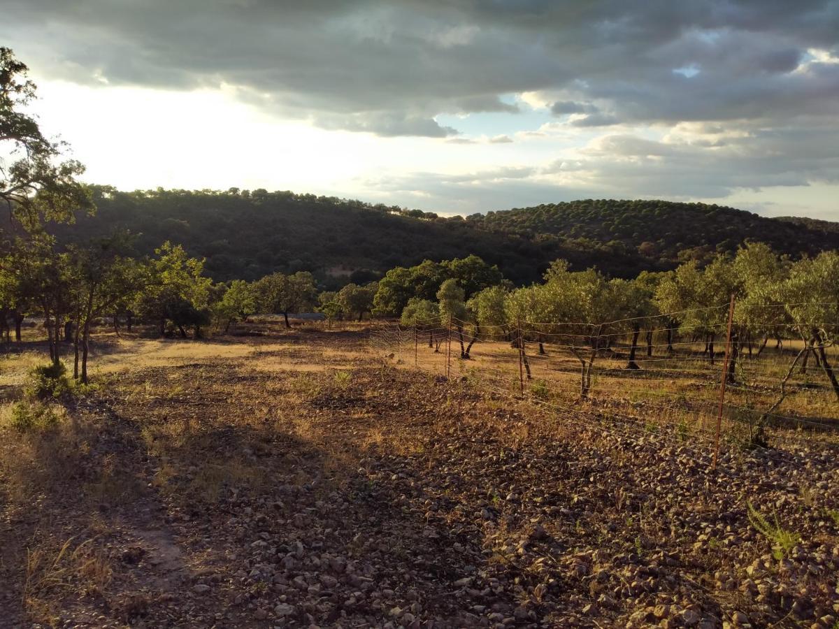 La Romera Villanueva del Duque エクステリア 写真