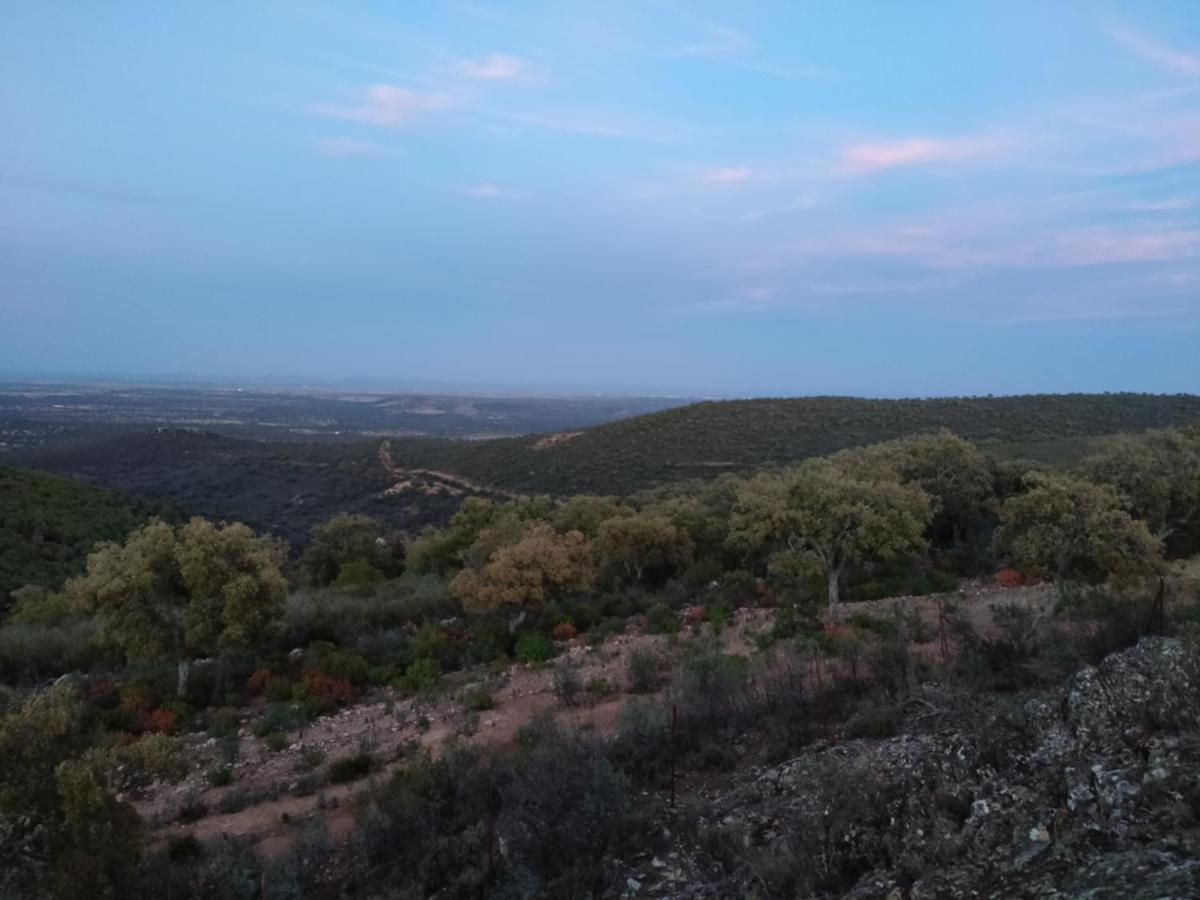 La Romera Villanueva del Duque エクステリア 写真