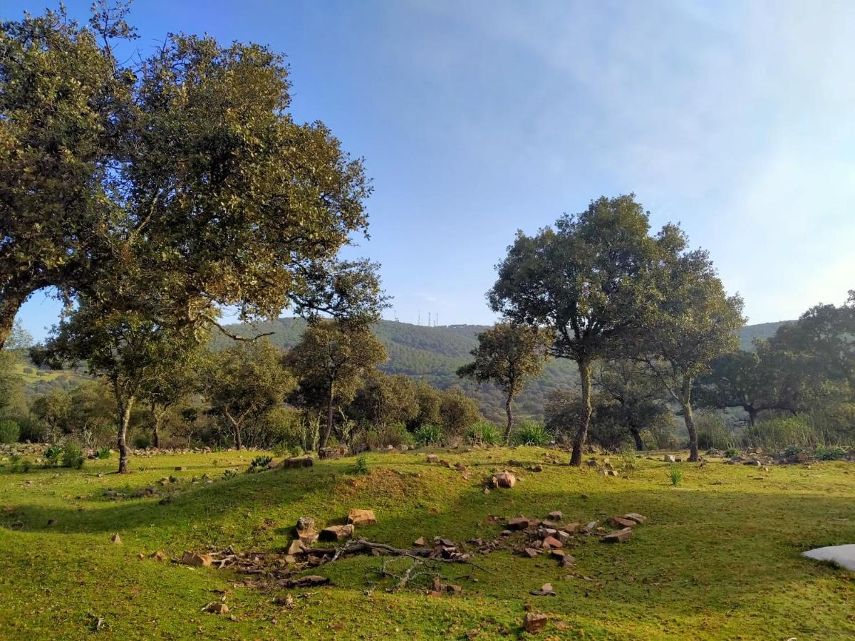 La Romera Villanueva del Duque エクステリア 写真