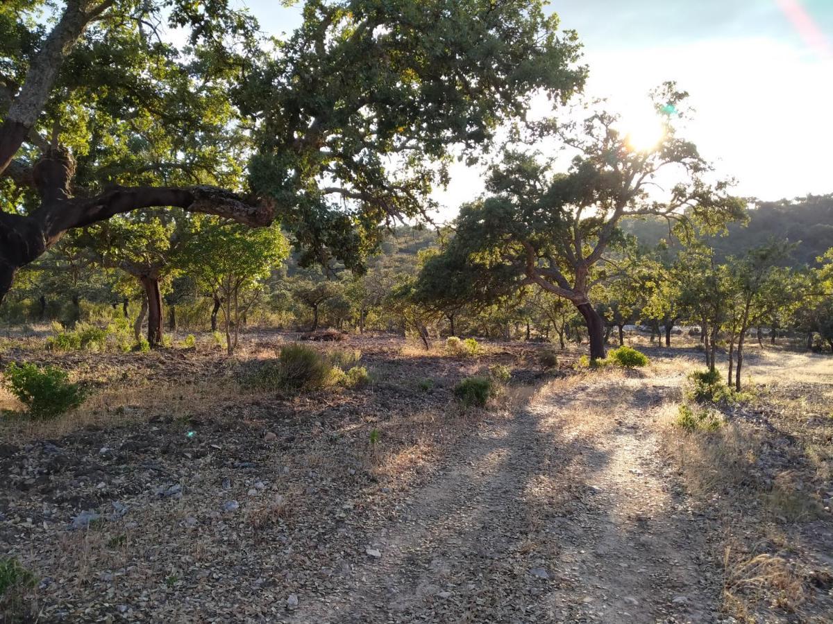 La Romera Villanueva del Duque エクステリア 写真